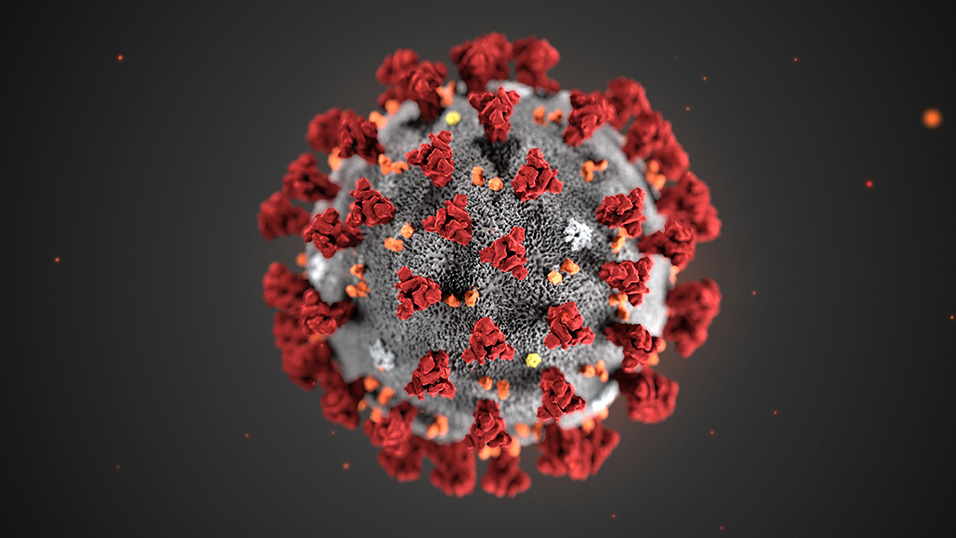 Quali sono stati gli effetti del Coronavirus sui mercati e nell’economia reale?