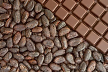 Cacao pronto a un rimbalzo?