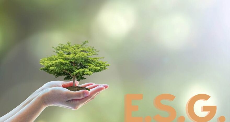 ESG, il mega trend destinato al boom nel 2021