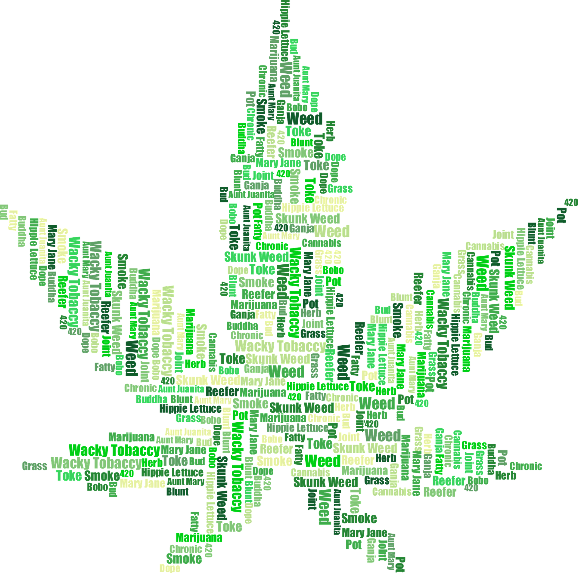 Cannabis ‘popolare’: sale ancora il prezzo delle azioni