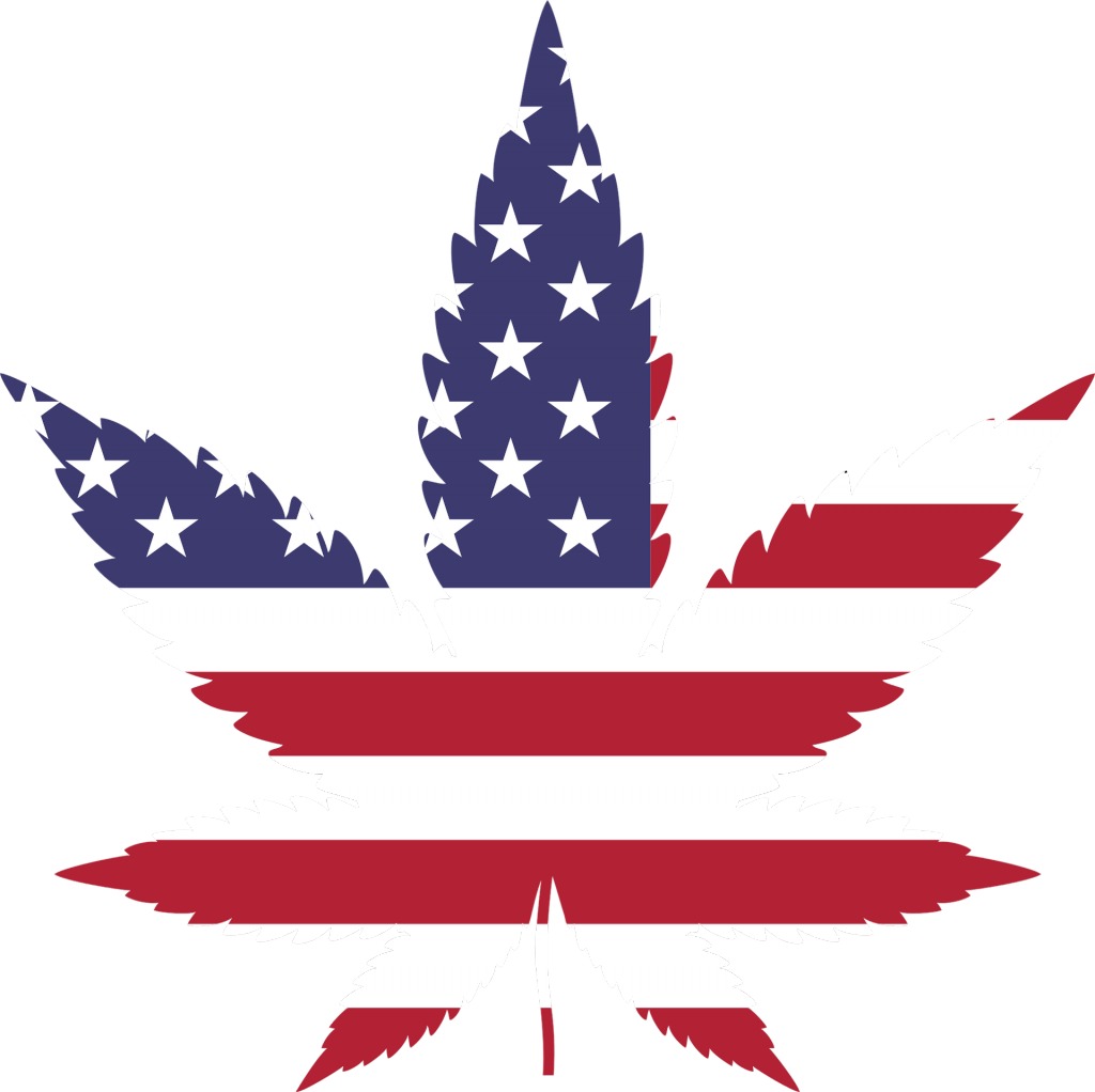 Business cannabis in crescita negli USA