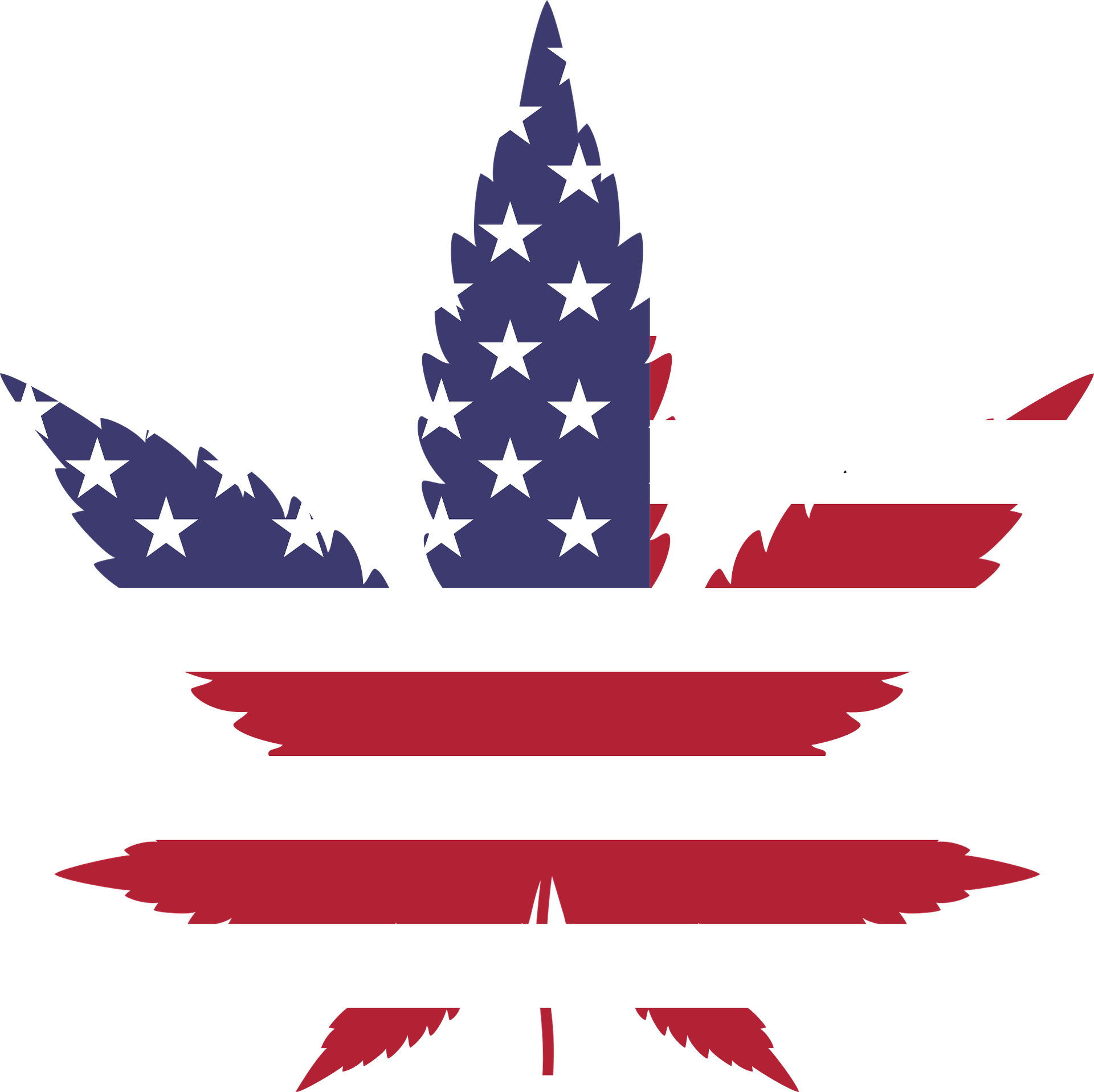 Business cannabis in crescita negli USA