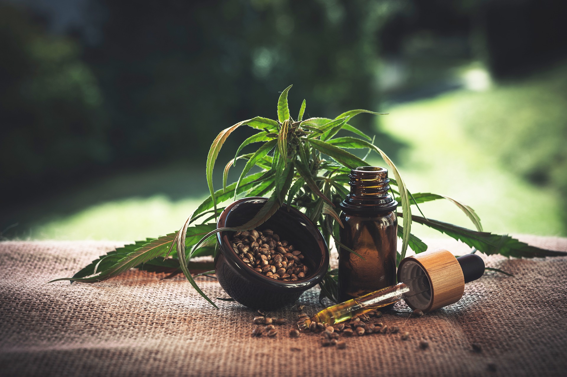 Cannabis medica: si possono fare affari?